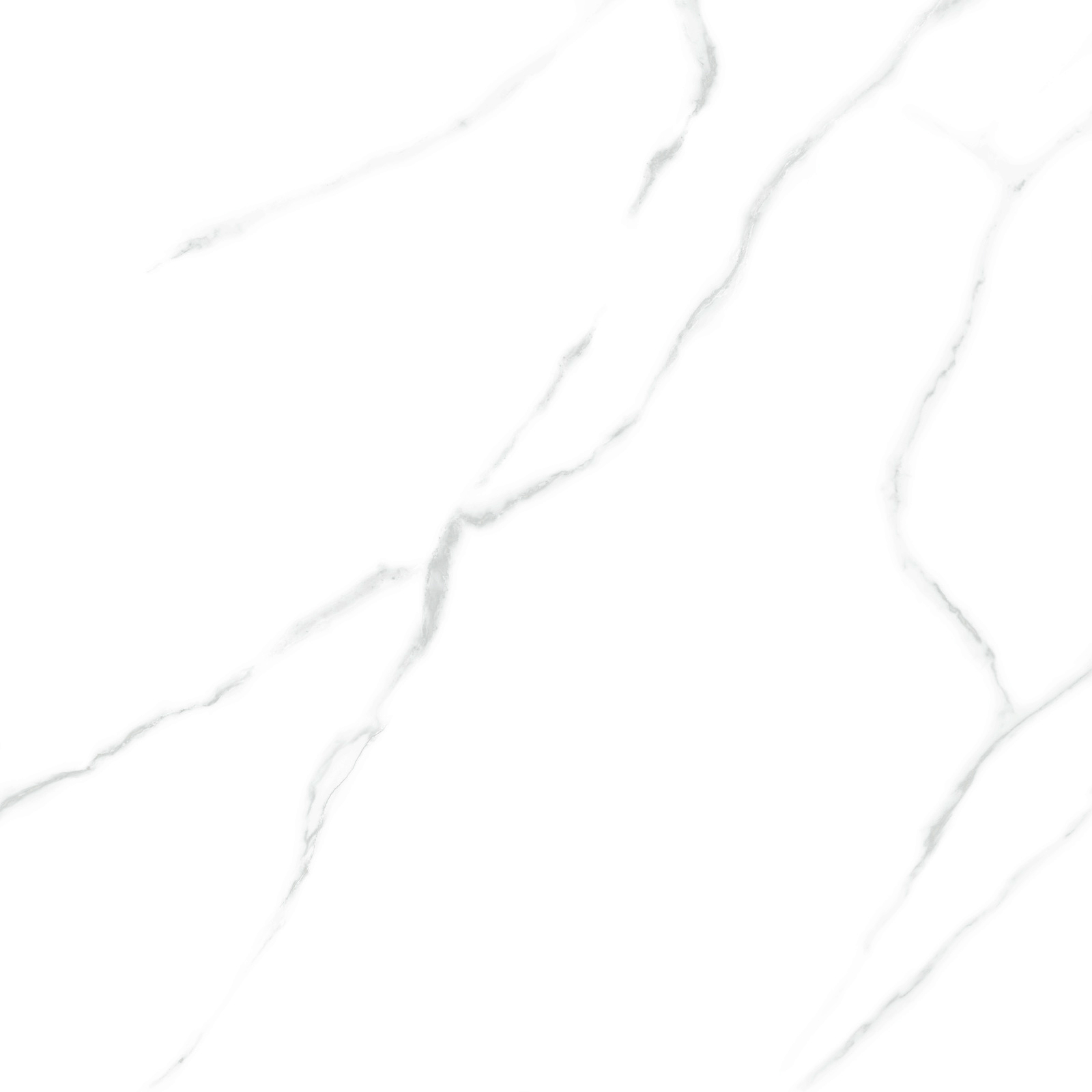 6060AMR00P На пол Atlantic Marble White 60 - фото 2