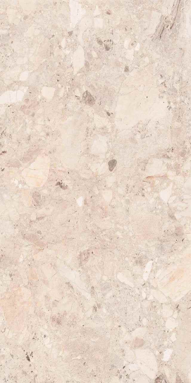 На пол Clio Ivory Deck 60x120