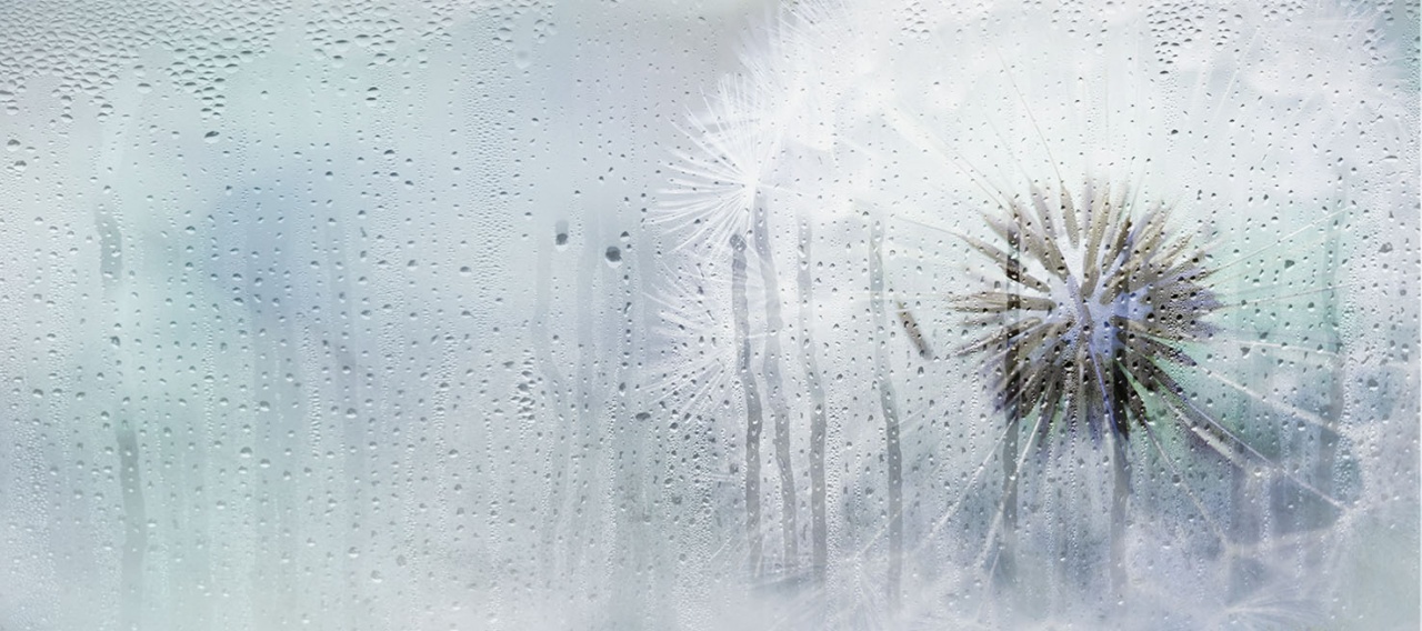 131614 Декор Rosa Деко Синяя - фото 4