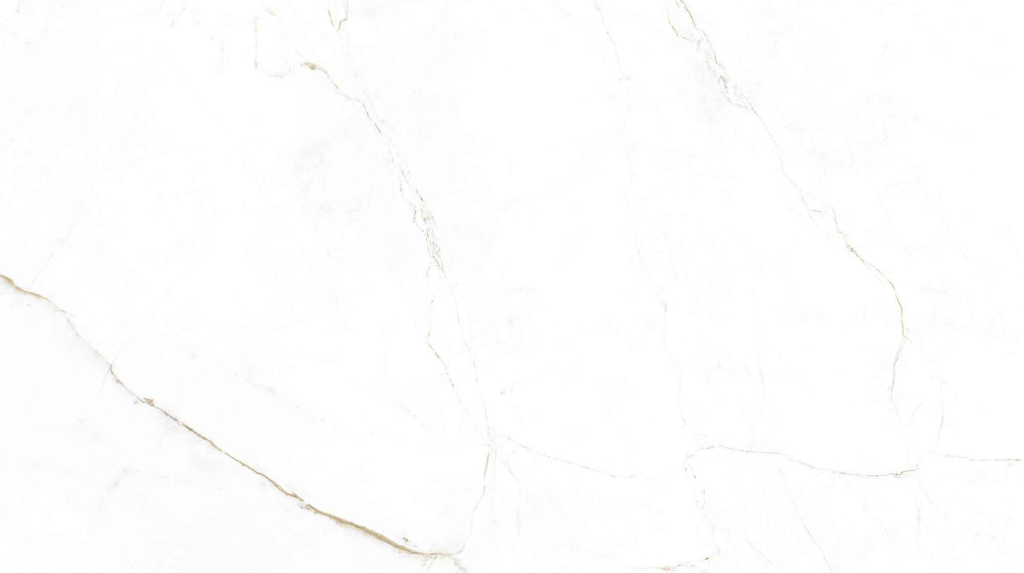 31744 На пол Museum Dual White SP/R 100х180 - фото 3