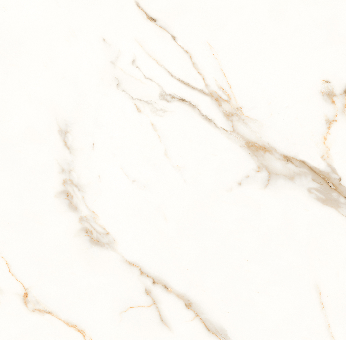 На пол Venato Calacatta Gold Белый сатинированный 60х60 - фото 12