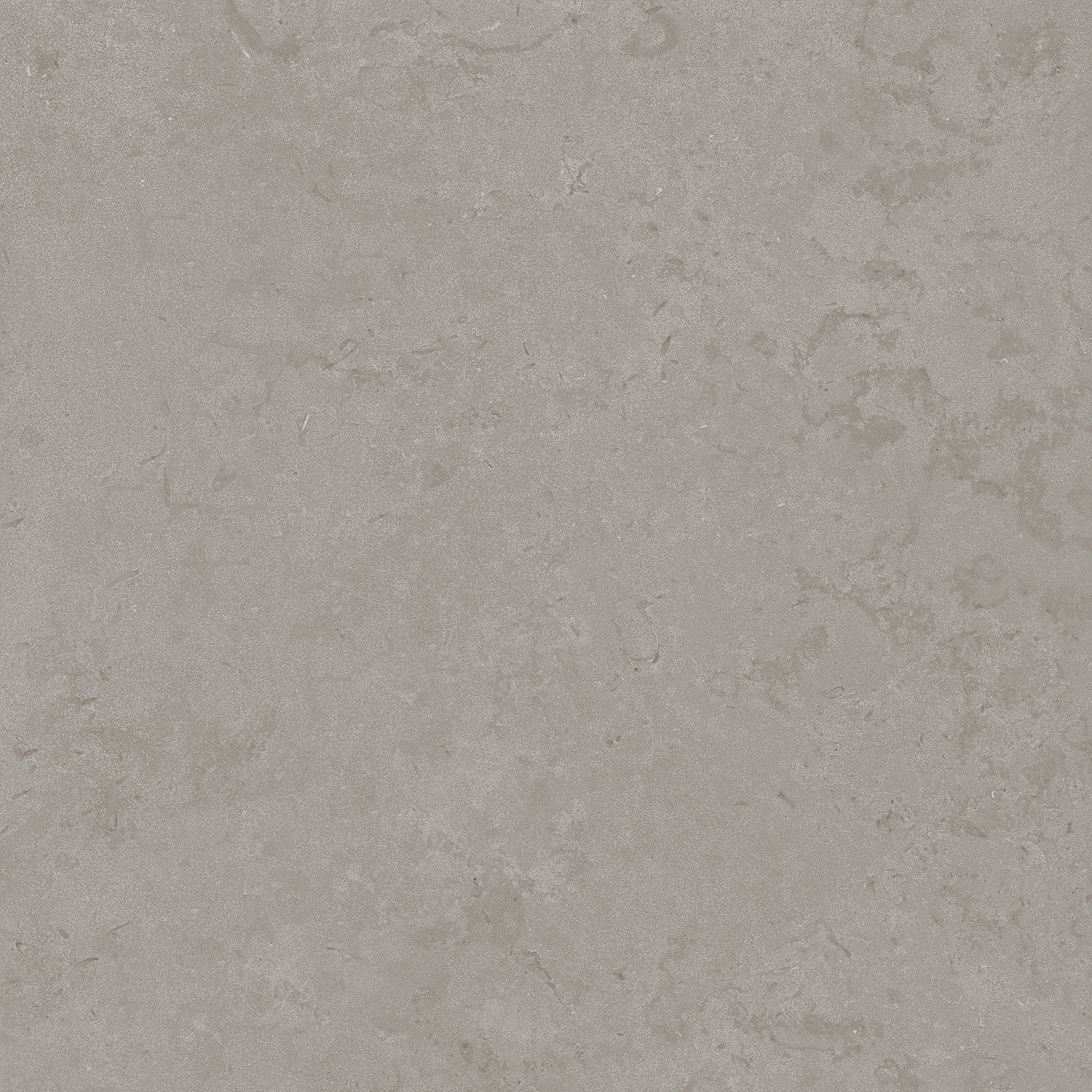 DD640900R На пол Про Лаймстоун Про Лаймстоун Серый Натуральный Обрезной 60х60 - фото 2