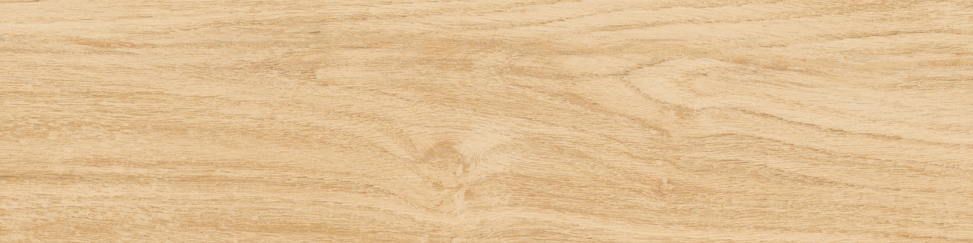 KM1040G0011N На пол Аргания Бежевый матовый 9.9x40.2x0.8 - фото 6