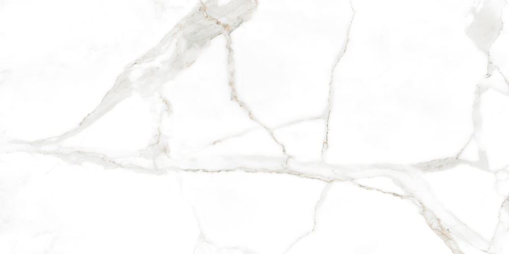 RP-238594  Marble White Glossy 60x120 - фото 4
