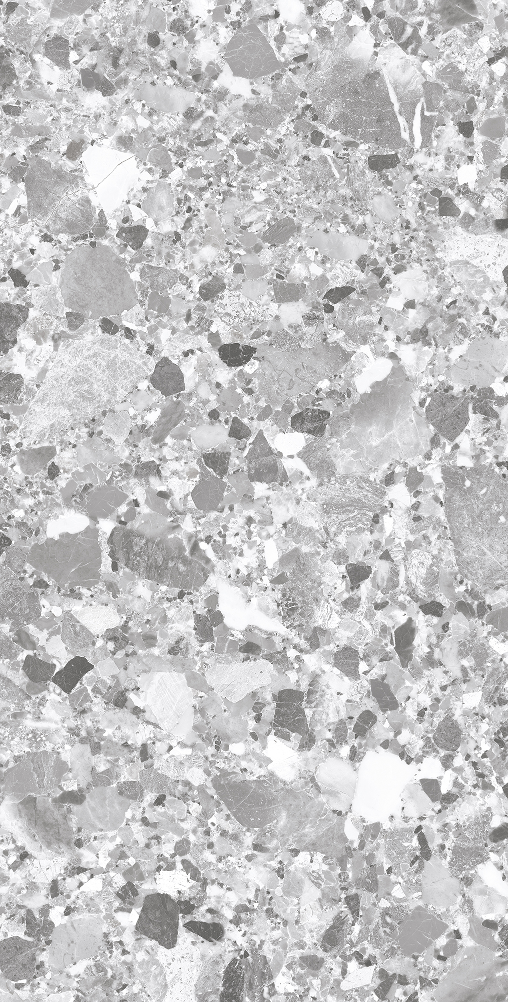 SL1004-A На пол Terragona Silver Solido 60x120 - фото 2