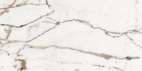 769854 На пол Les Origines De Rex Or Matte Rett 60x120