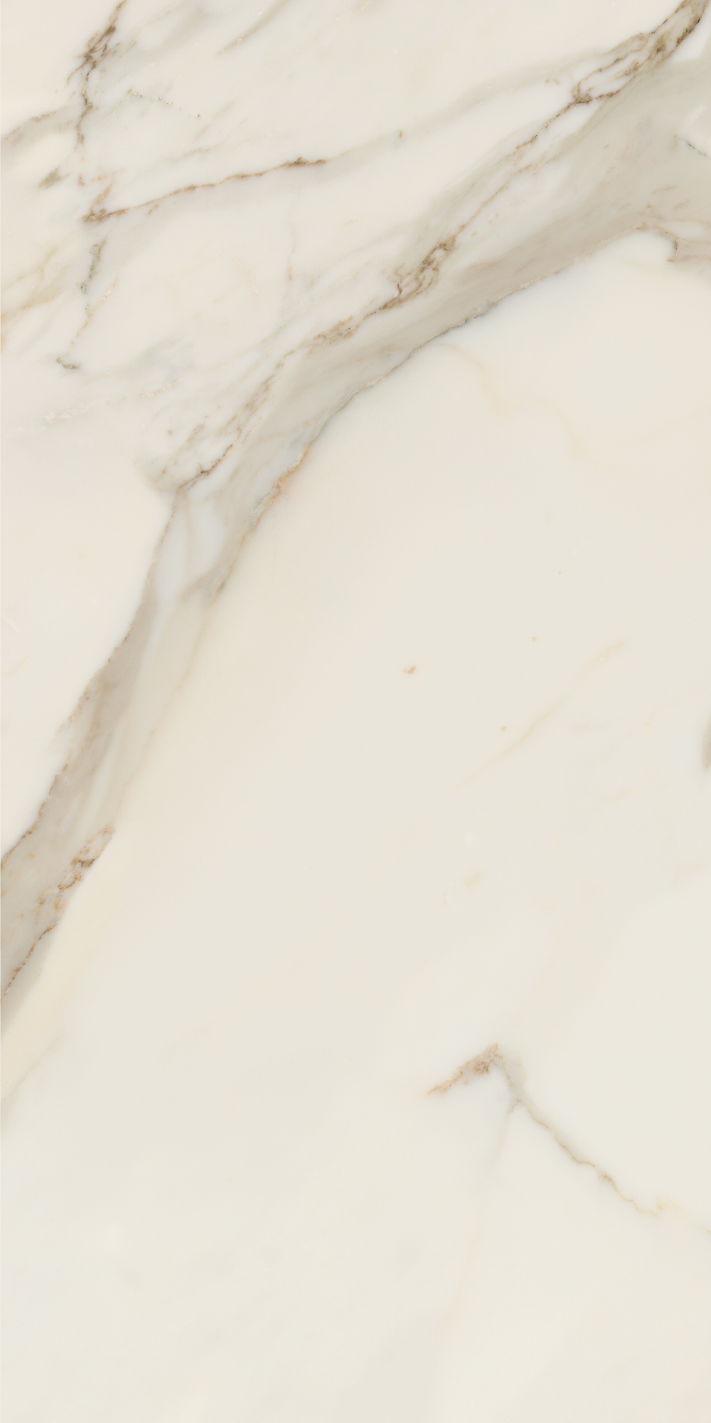 AGB0 На пол Anima Futura Golden White Rt. 120x60 - фото 7