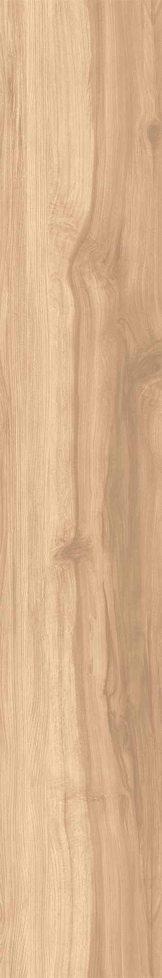 CW-RT09-B На пол Fossil Wood Brich Rustic 20x120 - фото 2