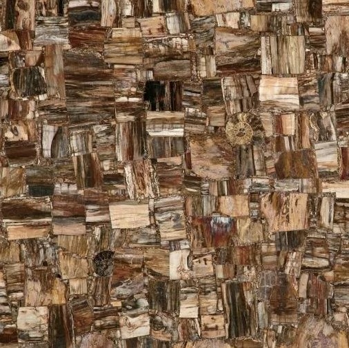 MC-SP10 Напольный Semiprecious Petrified Wood (Party) (Compound With Granit) 100x100