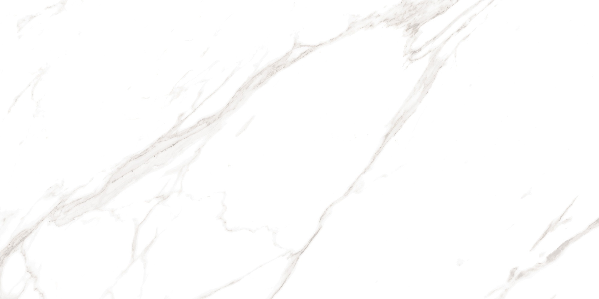 M4401P На пол Marble Carrara Livia Glossy 60x120