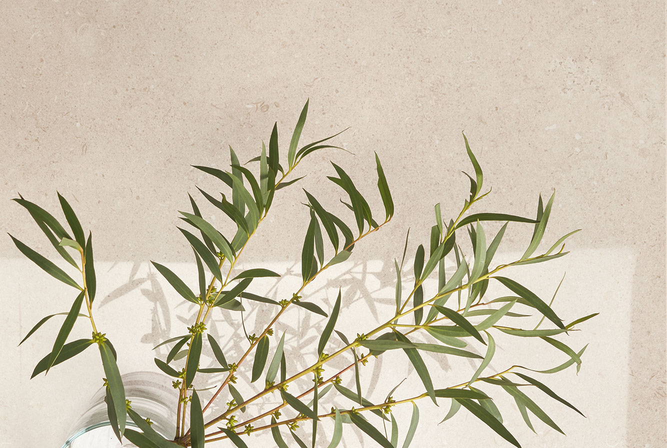 41ZERO42 Superclassica SCB - фото 19