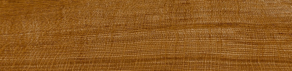 100287896/ P18763591 На пол Oxford Cognac 120x29.4