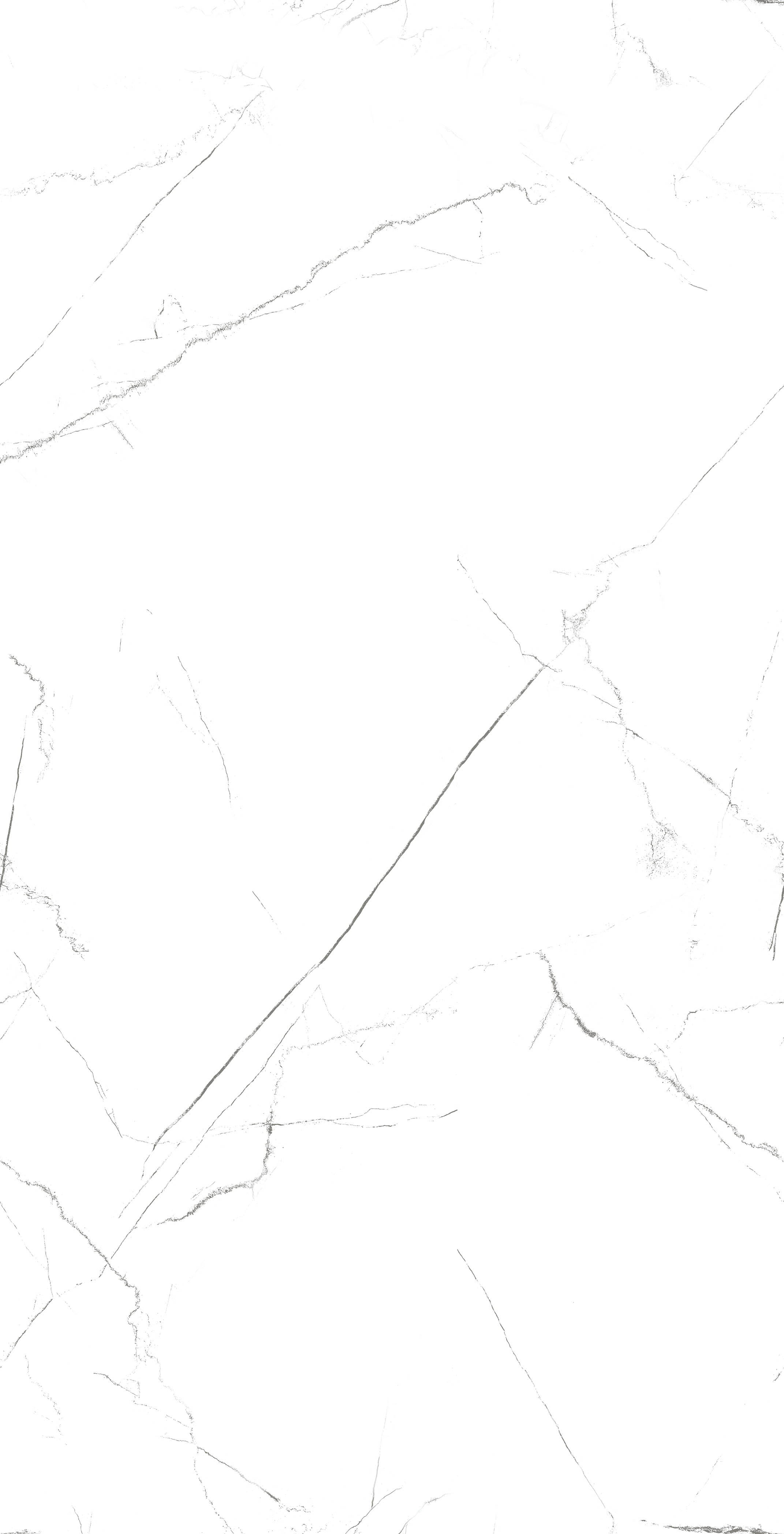 MOG101/PS_NC/60x120x9R/GW На пол Marble MOG101 White 120x60 Полированный Рект. - фото 8