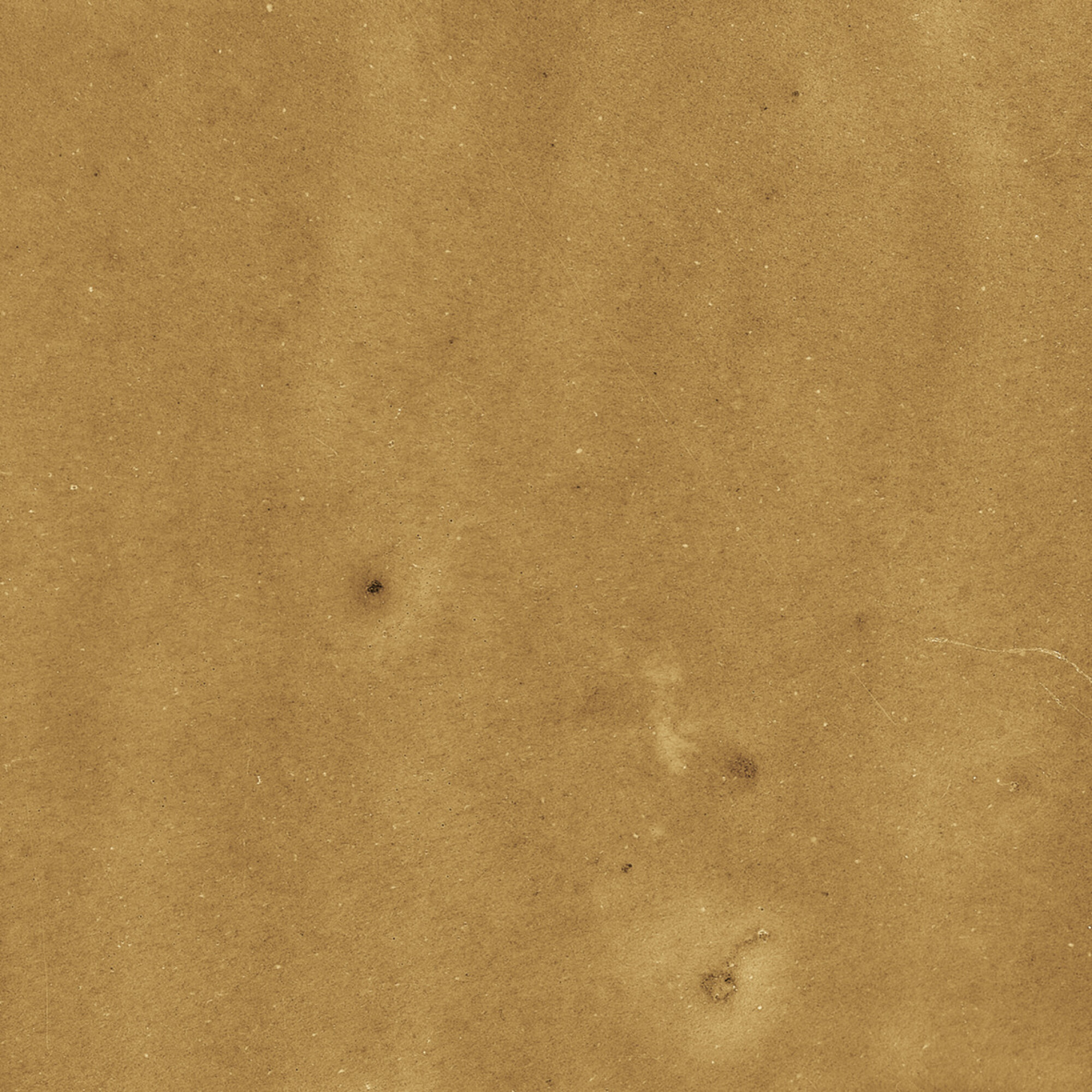 43288 На стену Samira Gold 10x10 - фото 44