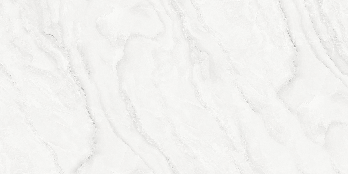 PRO 1148G На пол Silver Onix Gloss 1200x600 - фото 5