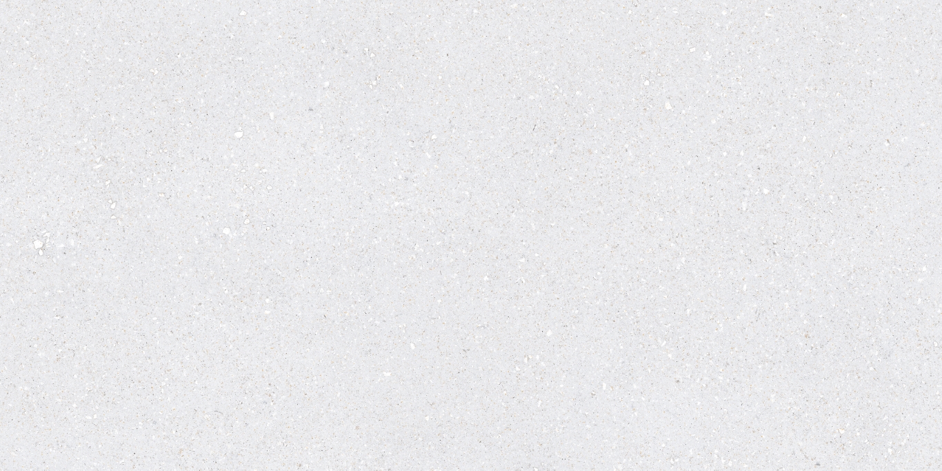 На пол Sassy White Rec 60x120 - фото 4