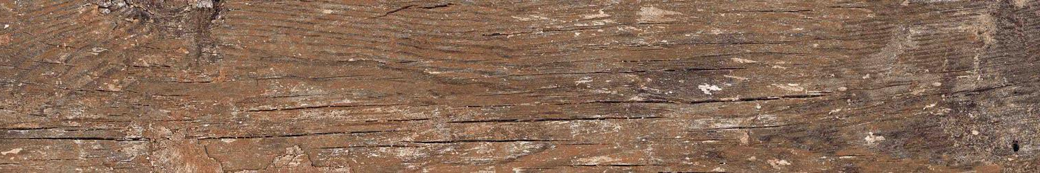 На пол Wood Kiwi Redroot Mat 20x120 - фото 11