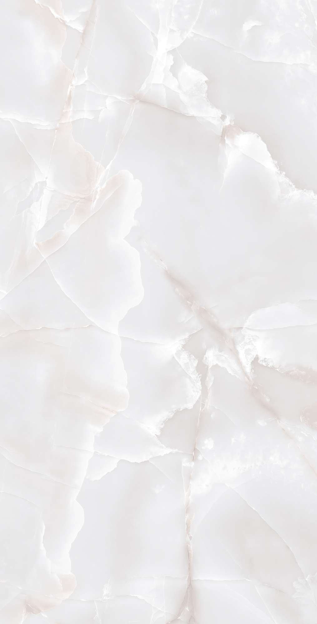 FP1017-A На пол Primo Onyx Grey Full Polished 60x120