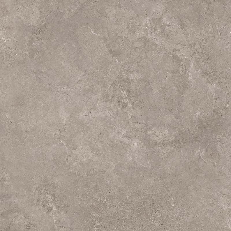 8163 На пол Shell DG 60х60 - фото 3