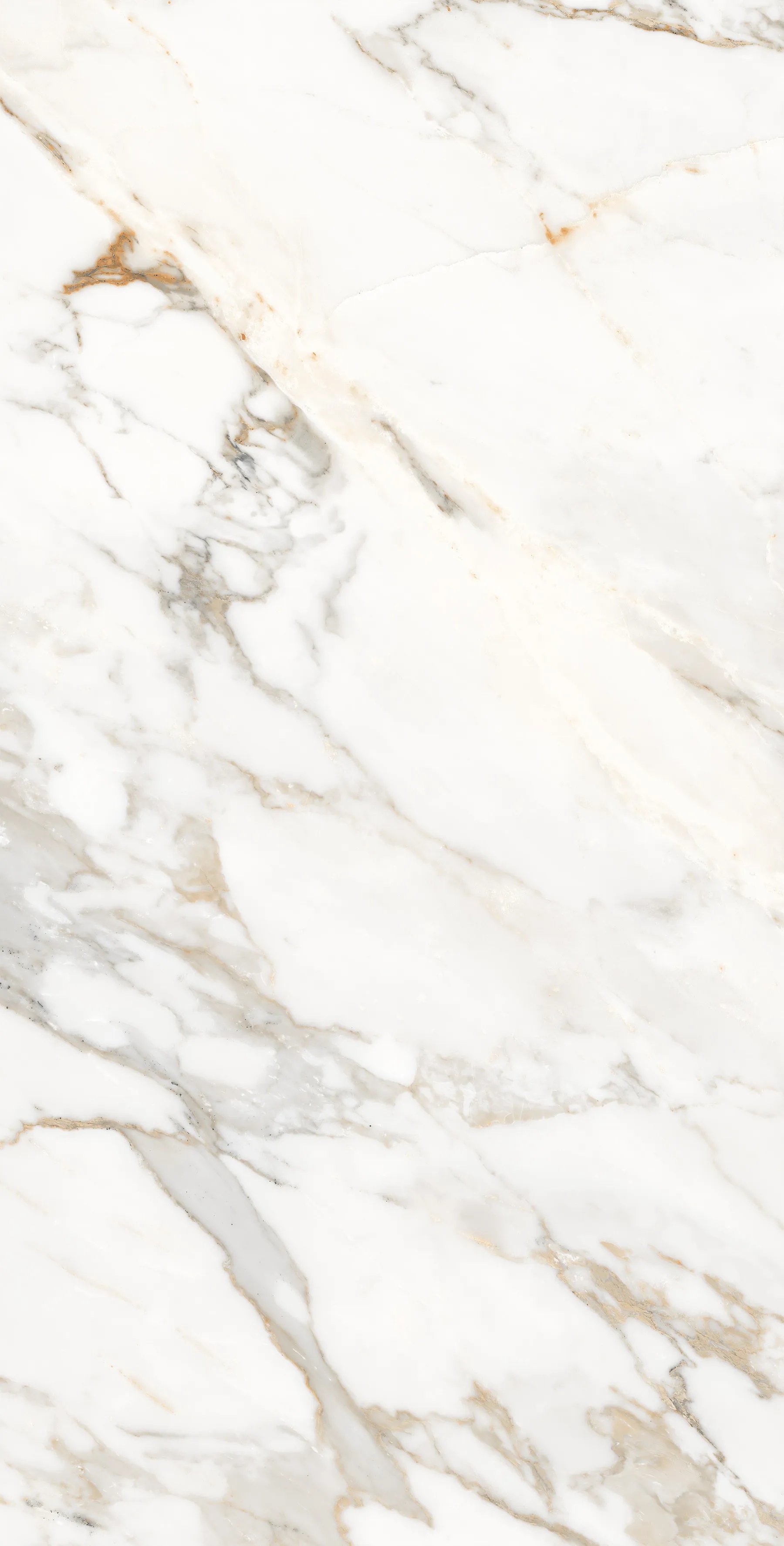 FP1006-A На пол Calacatta Oro 60x120 - фото 2