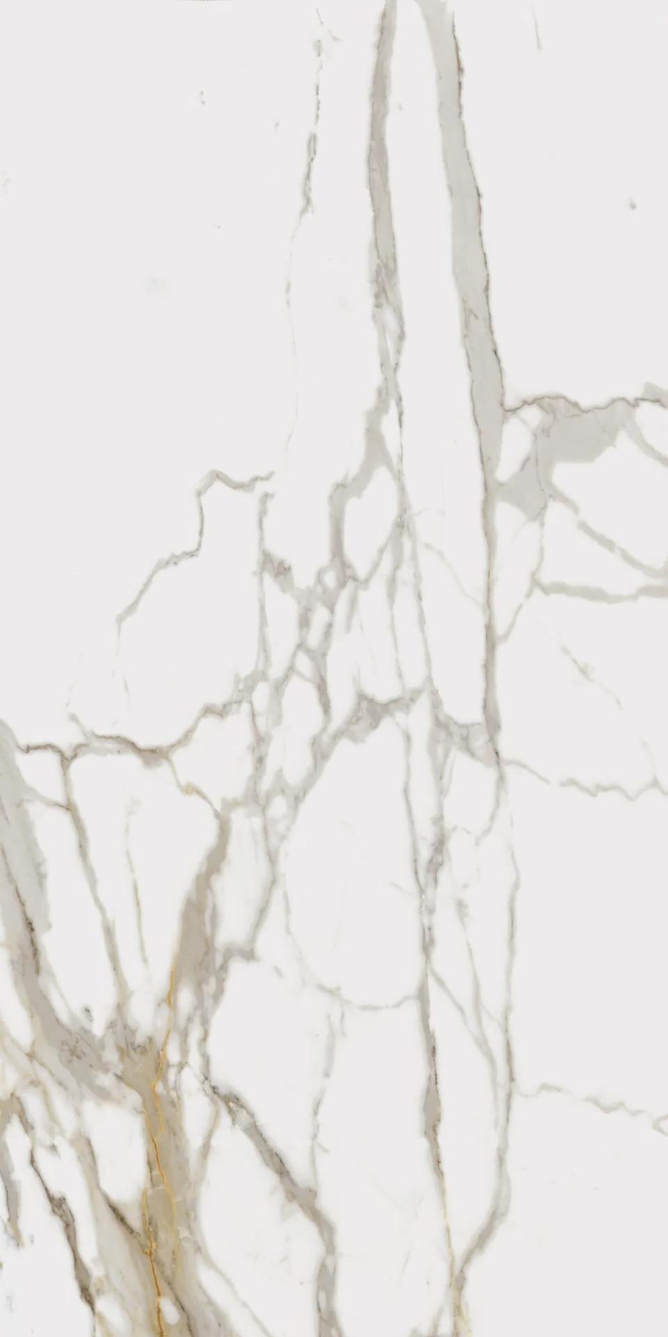 610010001683 На пол Charme Evo Floor Project Калакатта 80x160 Натуральный и Реттифицированный - фото 4