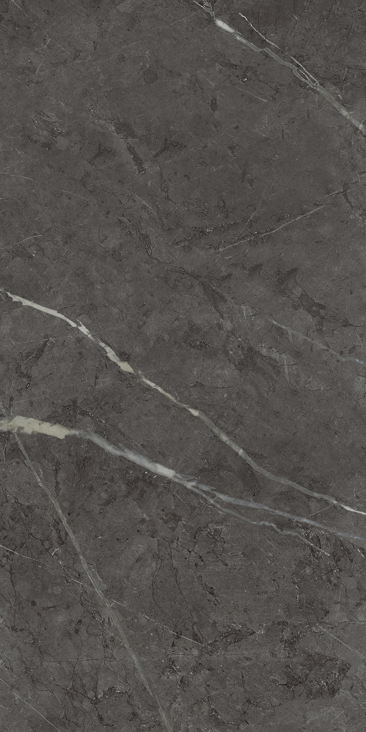 610015000239 На стену Charme Evo Floor Project Антрачит 30x60 Патинированный и Реттифицированный