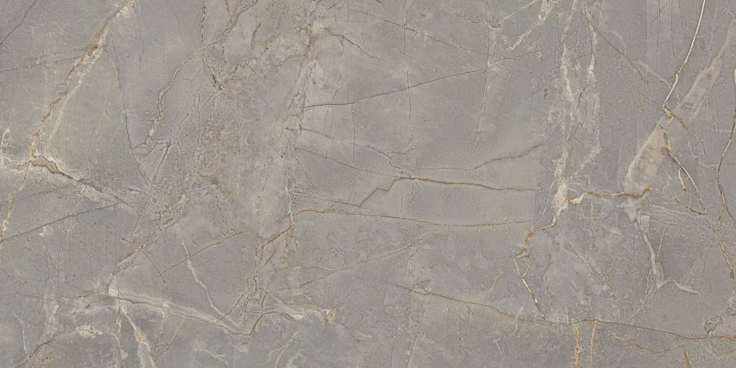 BR03/NS_NC/60x120x10R/GC На пол Bernini Grey BR03 120x60 Неполированный Ректификат - фото 6