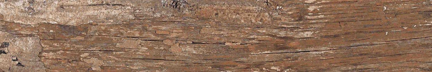 На пол Wood Kiwi Redroot Mat 20x120 - фото 5