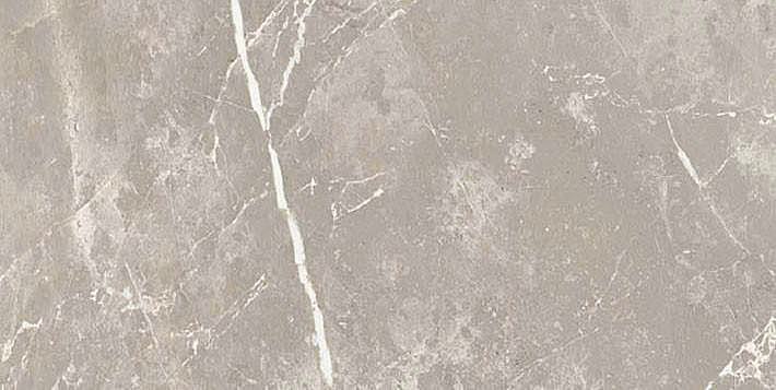 766617 На пол Elemental Stone Grey Dolomia Nat Ret 30x60 - фото 3