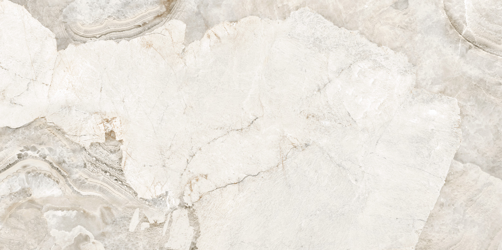 D120256LG На пол Seashell Лаппатированный граниль 600x1200x9.5 - фото 5