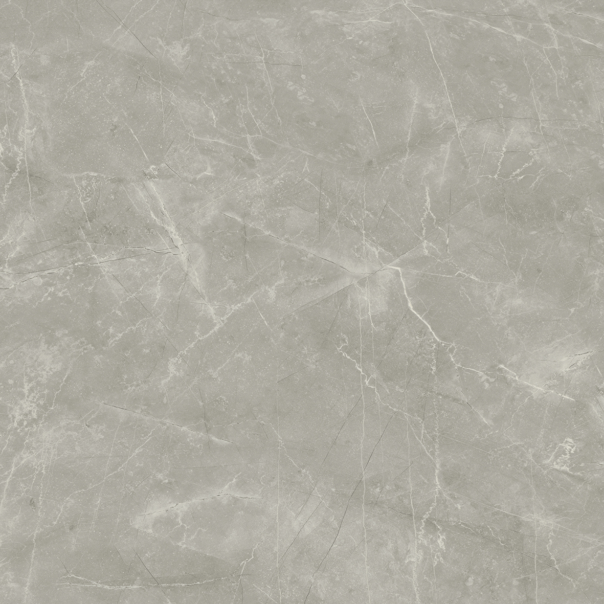 На пол Wolf Grey 80х80 Сатинированный - фото 6