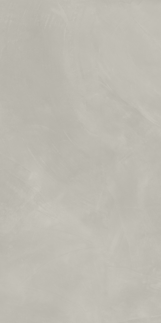 610010002684 На пол Continuum Silver 80x160 - фото 2