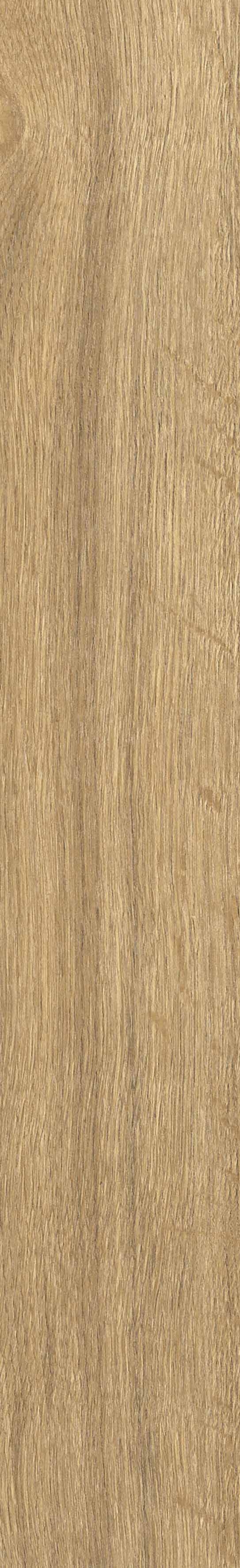 SGR29 На пол Aurevia SGR29 Gold 9.2x60 - фото 12