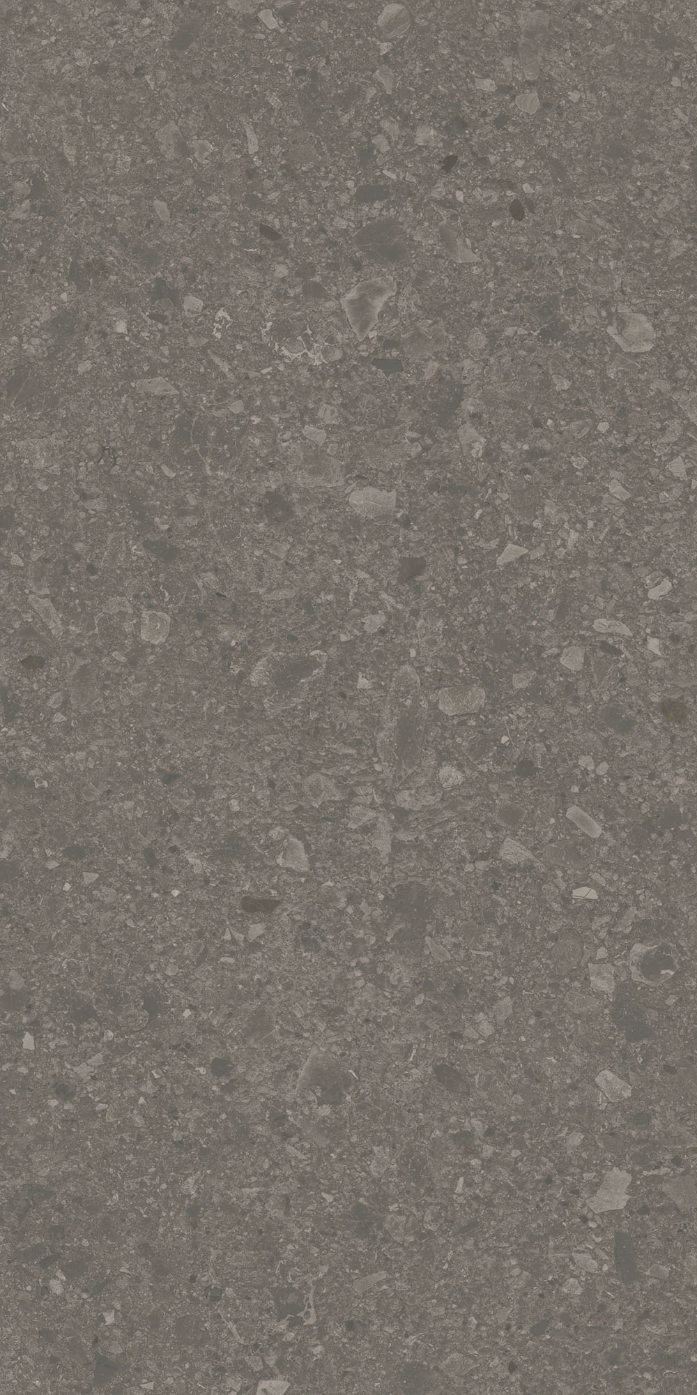 DD591720R На пол Чеппо ди Гре Коричневый матовый обрезной 119.5x238.5x0.9 - фото 6