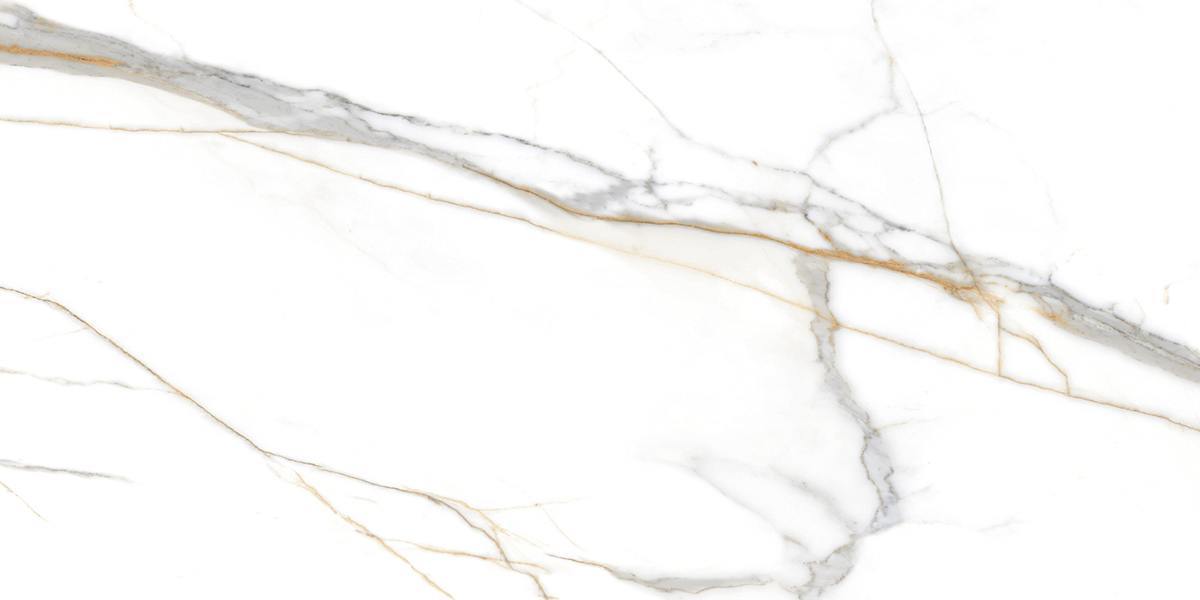 PRO 1059G На пол Roma Grigio Gloss 1200x600