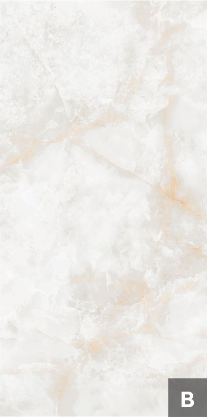 NTT3019P На пол Atlas Wide (B) Li Susu Dragon 120x240