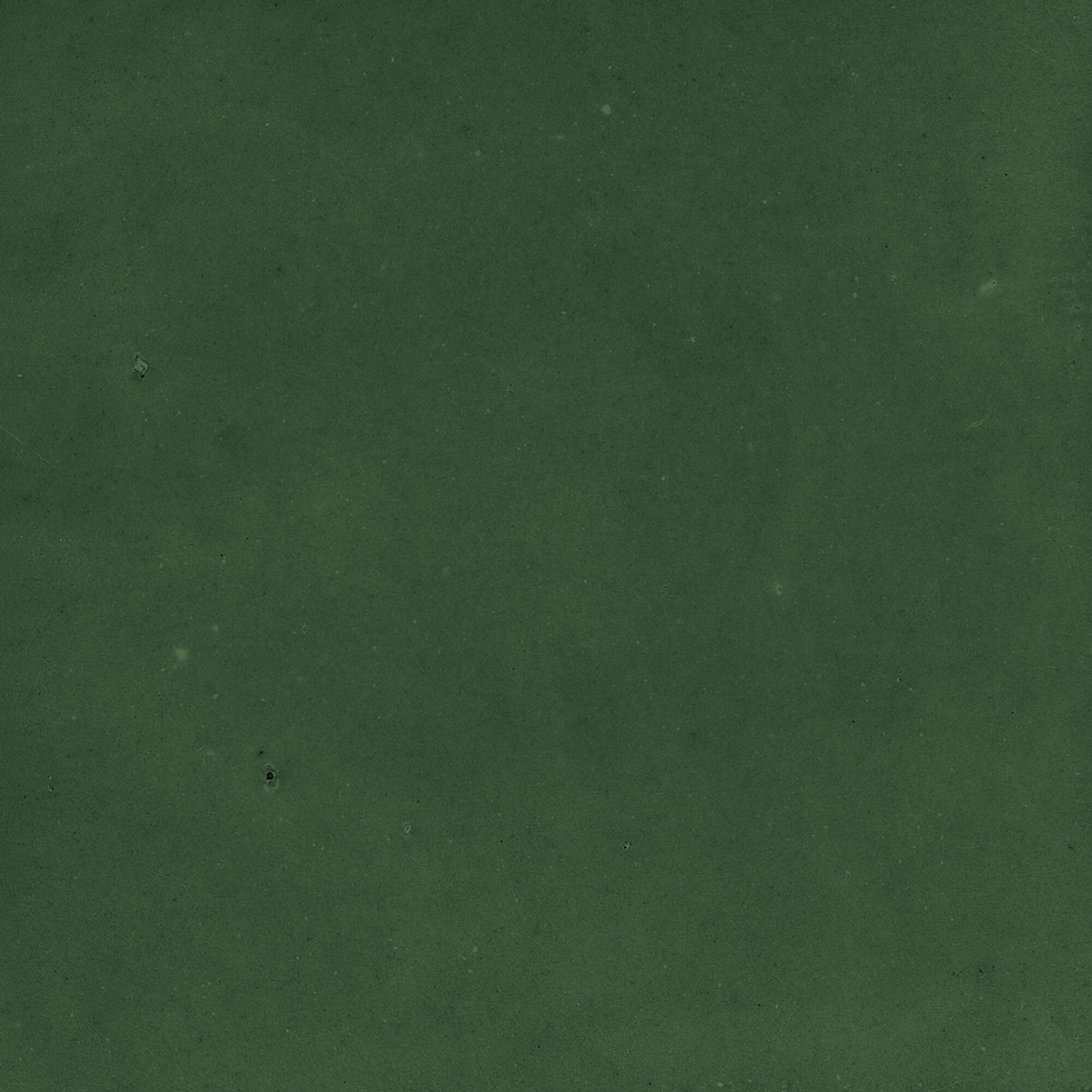 43289 На стену Samira Green 10x10 - фото 4