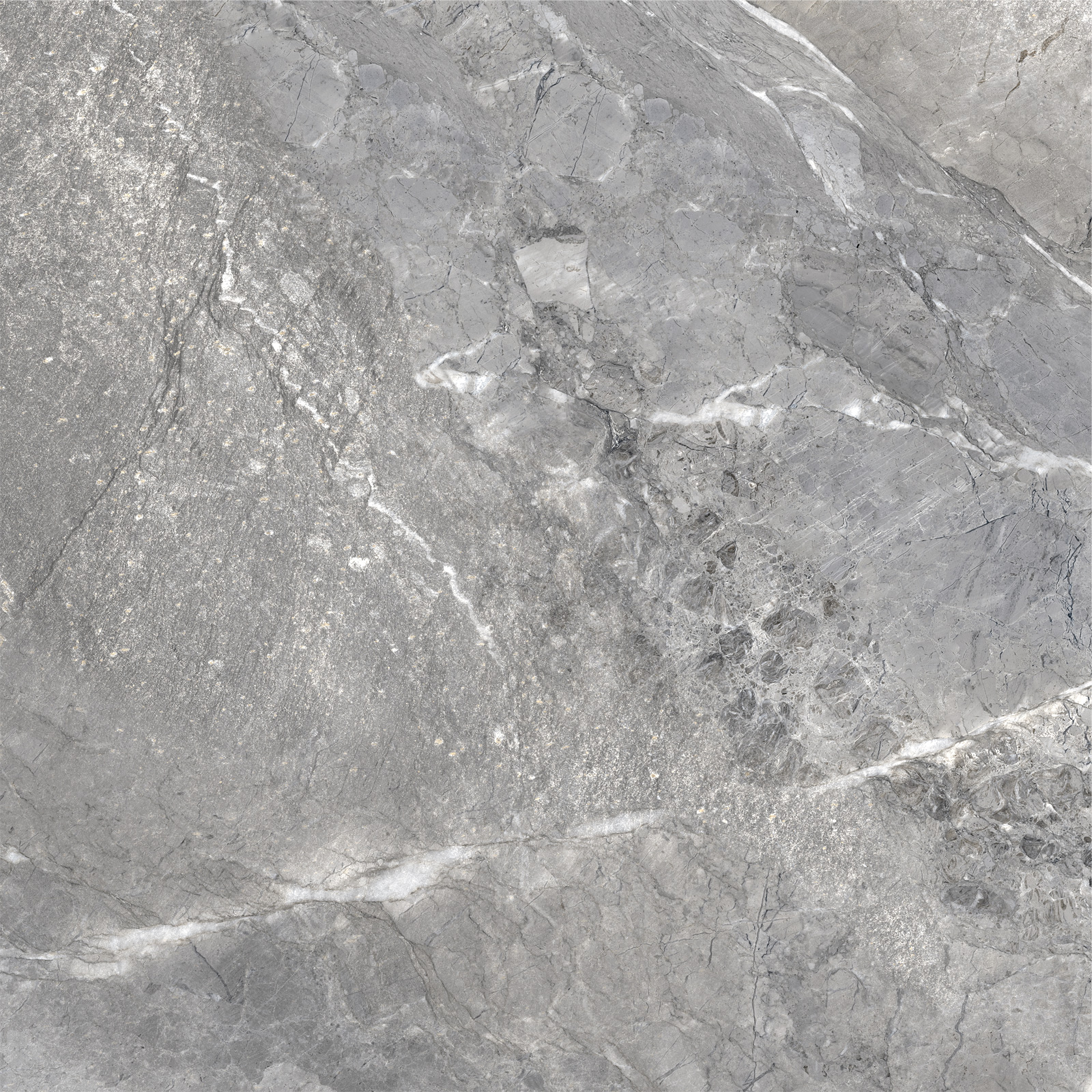 D60260M На пол Wild Dark матовый 600x600x9.5 - фото 5