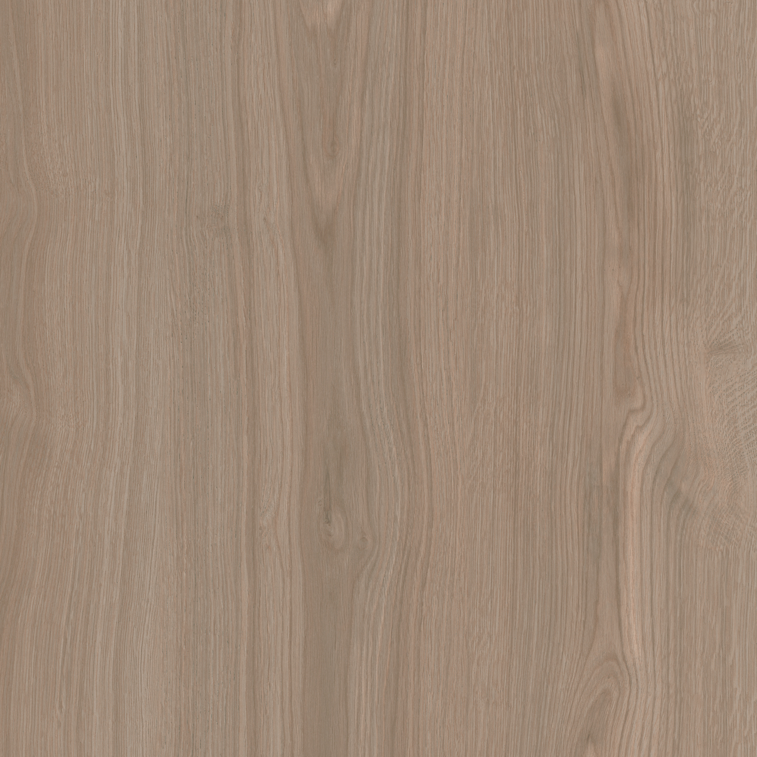 SG643820R На пол Альберони Коричневый светлый матовый обрезной 60x60x0.9 - фото 5