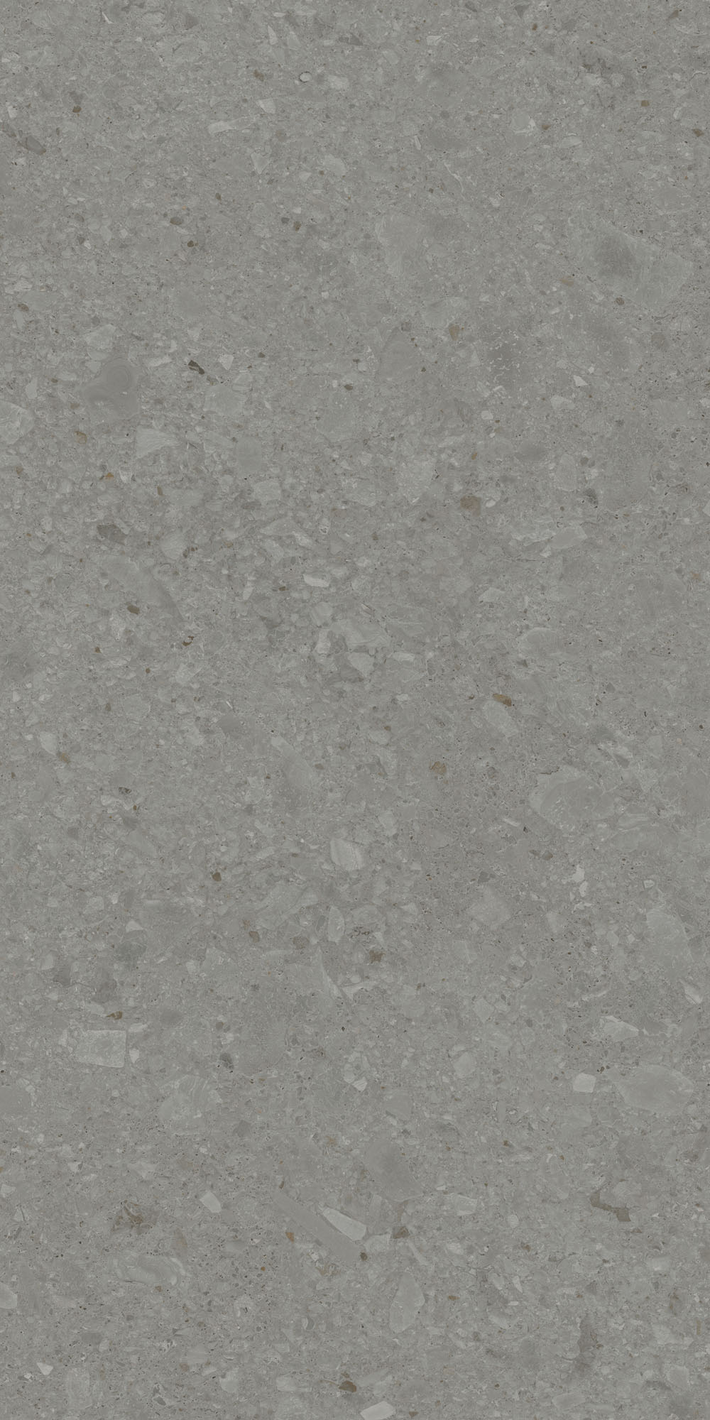 DD591500R На пол Чеппо ди Гре Серый тёмный матовый обрезной 119.5x238.5x1.1 - фото 6