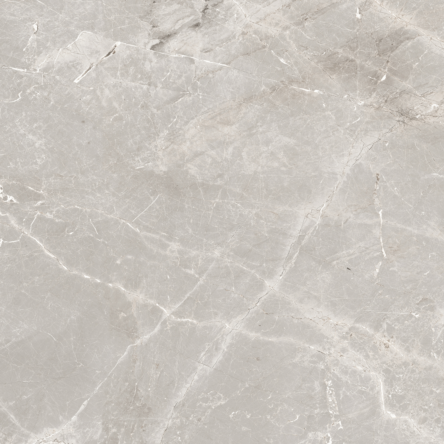 GT606012101SPR На пол Tulip Серый Soft Sugar 60x60 - фото 3