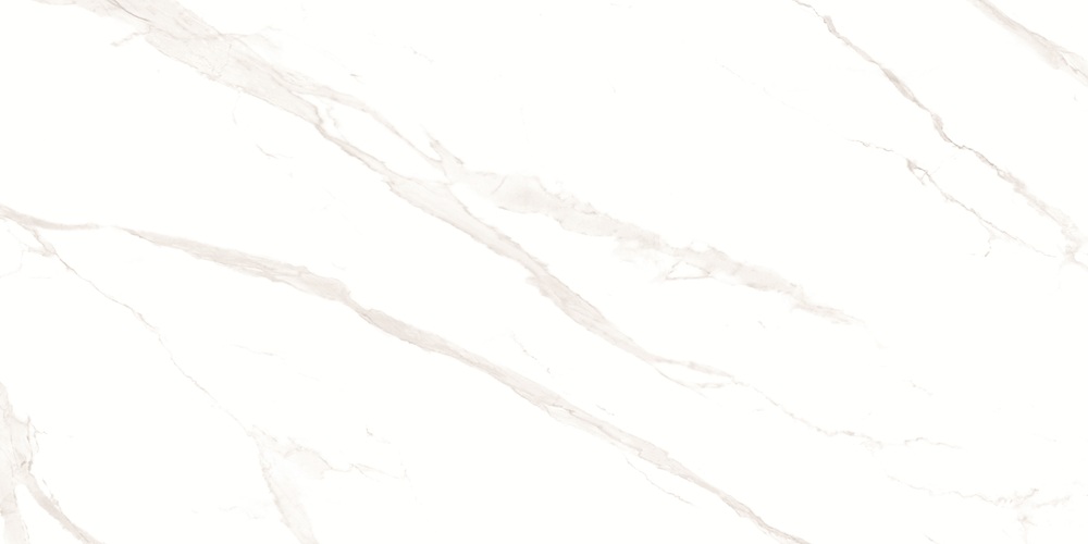 RP-238582  Pushkar White Matt 60x120 - фото 5