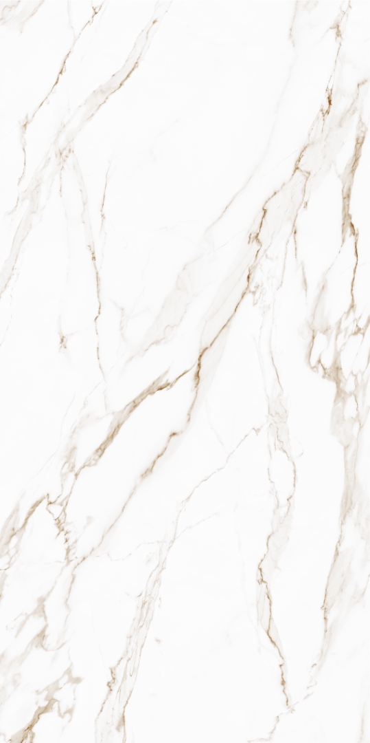 010400001372 На пол Golden White PG 11 60х120 - фото 2