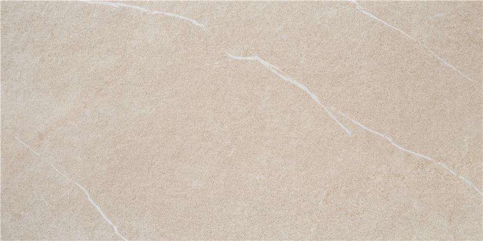 CAN5UDINBDPA На пол Udine Arena MT Rect 60x120