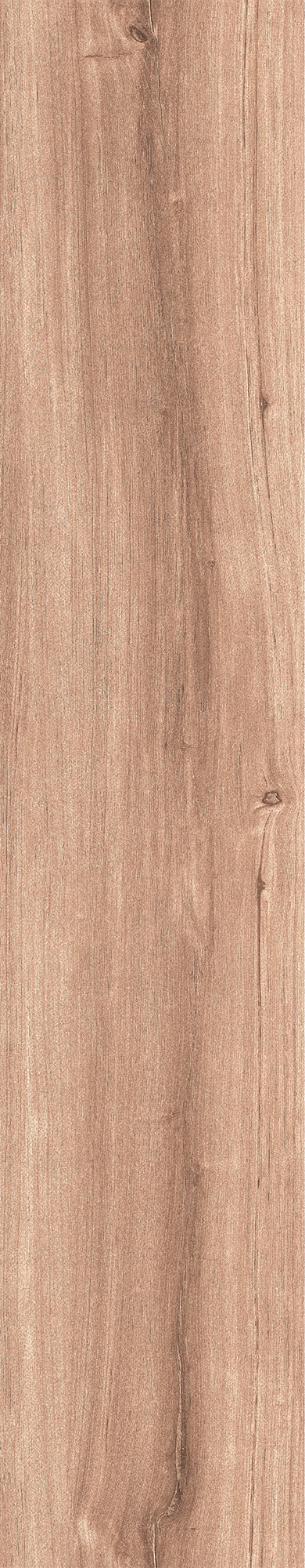 CW-RT03-B На пол Akasa Wood Oak Rustic 20x120 - фото 3