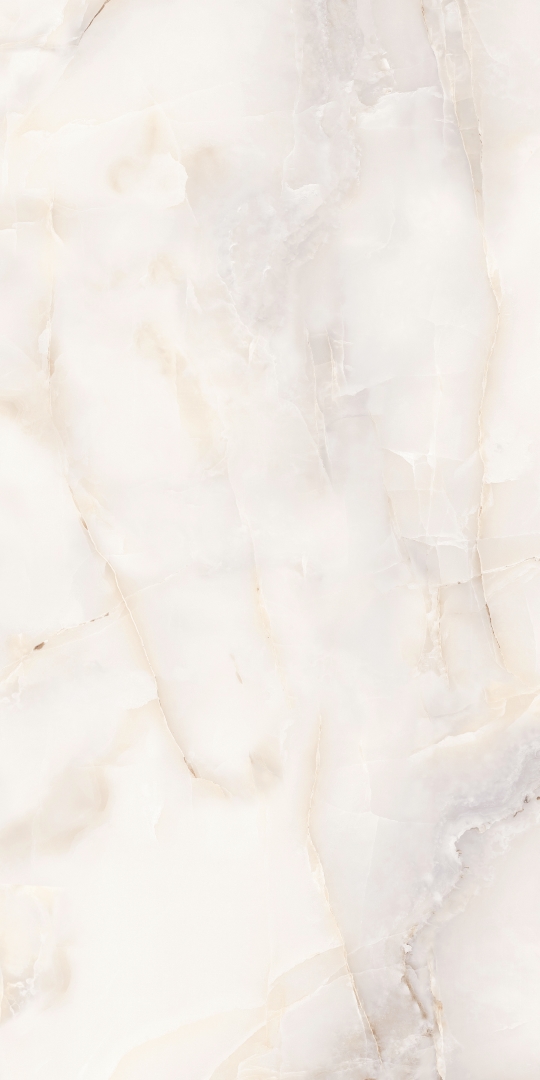 FP1009-A На пол Anty Sky Beige Full Polished 60x120 - фото 5