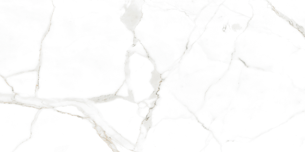 RP-238594  Marble White Glossy 60x120 - фото 2