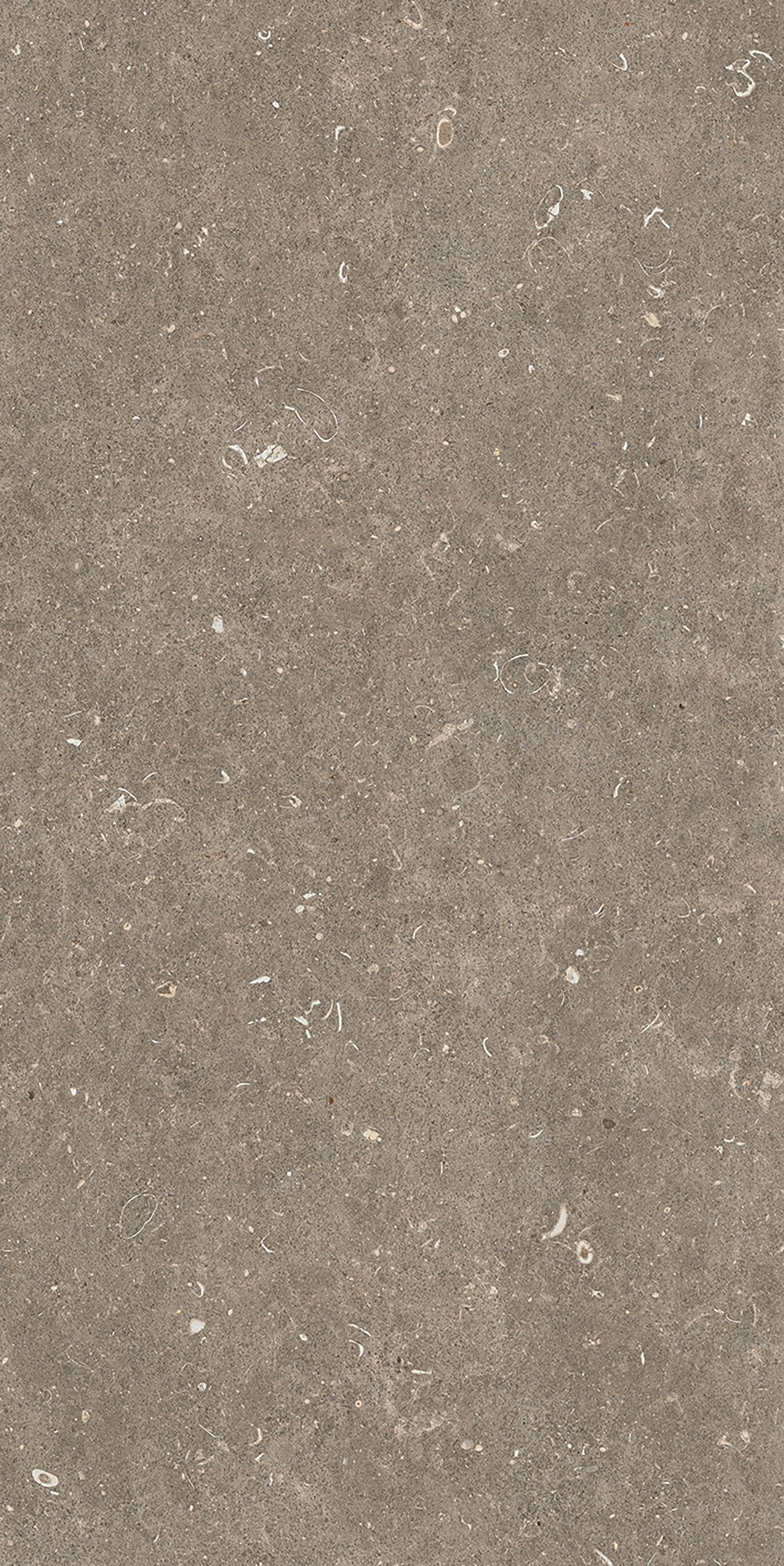 785576 На пол Rinascenza Arena Pietra Matte 6mm 60x120 - фото 10