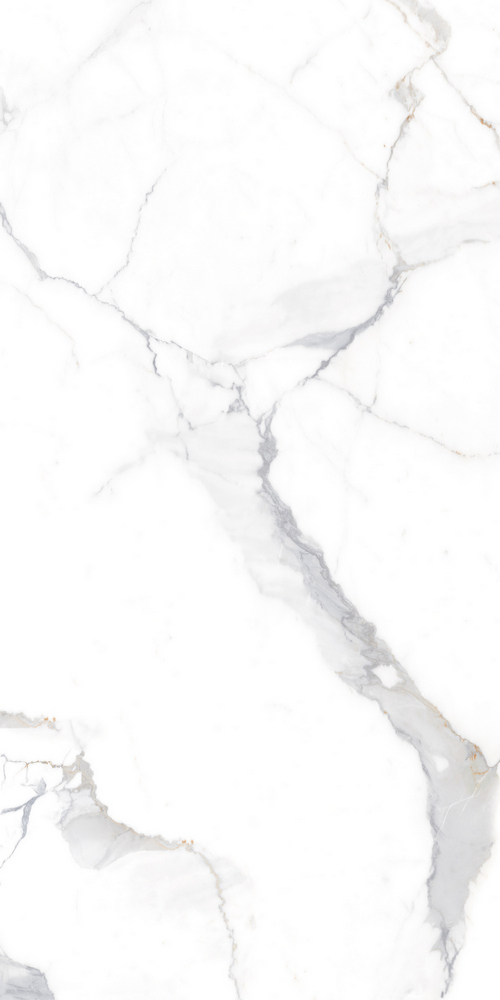 GT120606103PR На пол Calacatta Imperial Белый PR 60x120 - фото 2