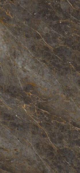 AE GOL6 260 LP На пол Aesthetica Лаппатированный 120x260